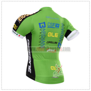 2015 Team Bardiani Bicycle Jersey Green