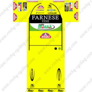 2012 Team FARNESE VINI ITALIA Cycling Kit Yellow